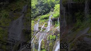 🎉 Catawba Falls [upl. by Silvanus]