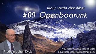 09 Botschaft von Openboarunk  Prediger Johan Dyck [upl. by Sinnej]