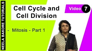 Cell Cycle amp Cell Division  NEET  Mitosis  Part 1  Neela Bakore Tutorials [upl. by Hanna]