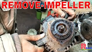 Domestic Water Pump Repair Remove Impeller and Replace Impeller in Hindi [upl. by Asilram529]