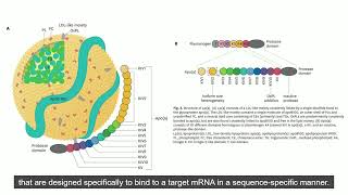 A New Modality in Dyslipidemia Treatment Antisense Oligonucleotide Therapy [upl. by Ytirahc330]