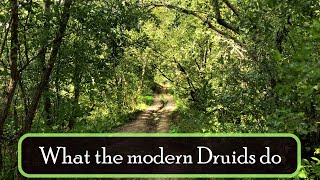 What do the modern Druids do [upl. by Tearle]