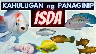 🐟 Kahulugan ng PANAGINIP na ISDA  Ano ang IBIG SABIHIN nanaginip ng ISDA sa tubig etc  DREAMS [upl. by Giorgi]