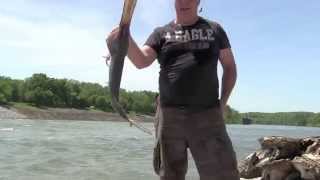 2014 Snagging paddle fish Nashville Tennessee [upl. by Suivart]