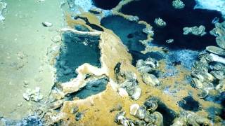 Stunning Underwater Brine Lake and Deep Sea Waves  Nautilus Live [upl. by Ashby]