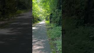 Biking the Wyndham Rail Trail in New Hampshire nature travel biketrail bike bikelife cycling [upl. by Torhert759]