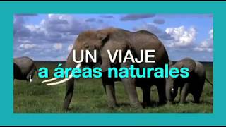 ¿Que es ecoturismo [upl. by Nihcas]