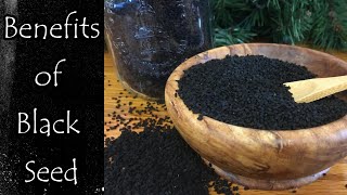 Benefits of Black Seed Nigella Sativa [upl. by Lilia939]