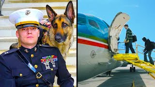 Marine Veteran amp His Service Dog Are Refused Entry On Airplane What Happens Next Is Shocking [upl. by Nie268]