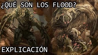 ¿Qué son los Flood de Halo EXPLICACIÓN  Los Flood de Halo EXPLICADOS [upl. by Burnham]