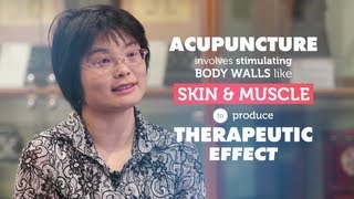 How does acupuncture work  RMIT University [upl. by Cloe837]