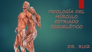 Fisiología del Musculo Estriado Esqueletico [upl. by Valdemar819]