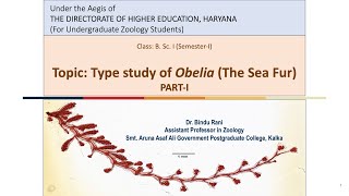 Type Study of Obelia Part I [upl. by Kendall214]