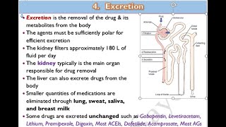 🔴 11 Excretion of drugs DrHazem Sayed [upl. by Eve581]