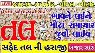 આજના તલ ના બજાર ભાવ  tal na bhav  jasdan market yard na bhav live  gondal market yard na bhav [upl. by Erle286]