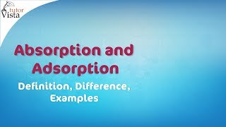 Absorption and Adsorption  Definition Difference Examples [upl. by Flemming]