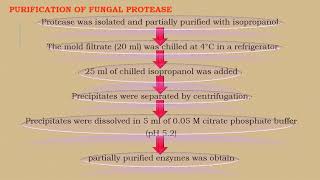 Protease Production Part 2 [upl. by Anorahs]