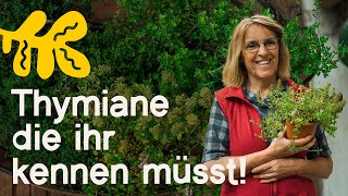 ThymianVielfalt 6 Arten Sorten die deinen Garten Küche und Gesundheit bereichern [upl. by Sivraj]