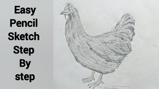 Easy pencil sketch  pencil sketch step by step  easy hen sketch [upl. by Steinman]