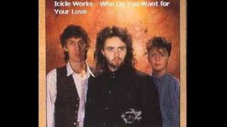 Icicle Works  Who Do You Want for Your Love [upl. by Vig841]