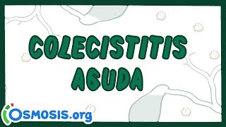 Colecistitis Aguda  Ósmosis en Español [upl. by Tamar]