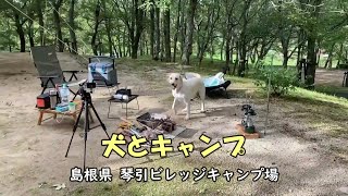 穴場？：琴引ビレッジキャンプ場でオヤジの犬連れキャンプ [upl. by Flam150]