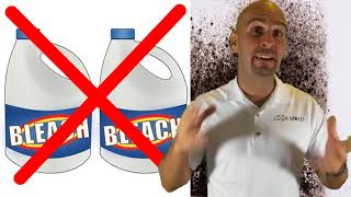 Black Mold  How To Kill Toxic Mold In Under 5 Mins [upl. by Cecilio]