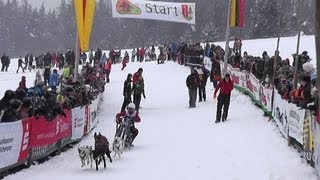 Schlittenhunderennen in Todtmoos 2013 [upl. by Ahseined]