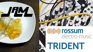 ROSSUM Electro Music TRIDENT Oscillator  Jam [upl. by Montfort]