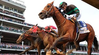 Latest odds and full list for all eight horses for the 2024 Preakness Stakes [upl. by Nahgaem]