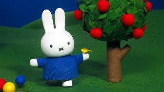 Miffy in Nature  Miffy and Friends  Classic Animated Show [upl. by Eelegna789]