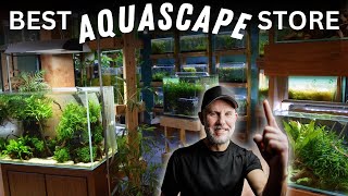 This AQUASCAPING Store BLEW ME AWAY [upl. by Aissak]