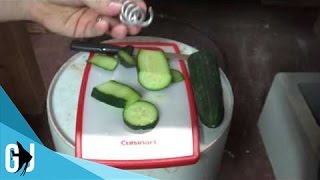 414 How to Sink Raw Cucumbers for Plecos  Tank Tip [upl. by Anod]