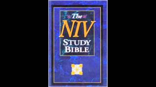 Epistle to the Hebrews NIV Audio Bible Non Dramatized [upl. by Wolfy]