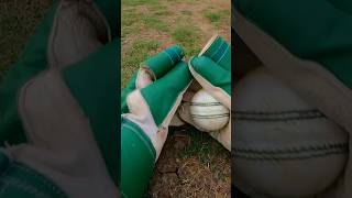 Wicket Keeper DIVING CATCH on Spinner😍🏏 shorts cricketcardio wicketkeeper [upl. by Cly]