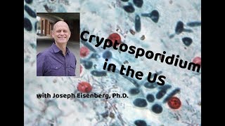 Cryptosporidium in the US with Joseph Eisenberg PhD [upl. by Yuji]