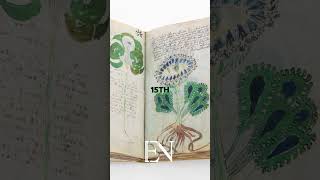 The Voynich Manuscript  Historys Uncrackable Code shorts [upl. by Eulalia]