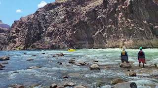 Bedrock Rapid Grand Canyon Colorado River Rafting June 2022 [upl. by Mharg]