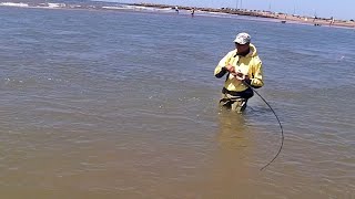 PESCA DE LENGUADOS EN LA SALIDA DE LA LAGUNA MAR CHIQUITA [upl. by Nilde827]