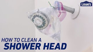 How To Clean a Shower Head and Shower Drain [upl. by Simmonds]