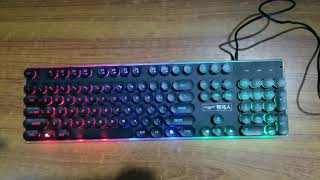 EWEADN GX 60 RGB keyboard [upl. by Atiuqer595]