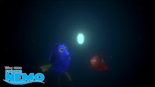 A Hungry Anglerfish  Finding Nemo  Disney Channel UK [upl. by Pirali]