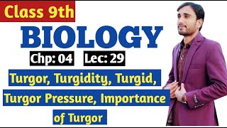 Turgor Turgidity Turgid amp Turgor pressure  Importance of Turgor  9th Bio Chp 4 Lec 29 [upl. by Doralin]