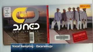 Vocal Sampling  Escaramujo [upl. by Leanahtan]