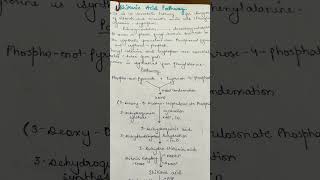 Shikimic acid Pathway shikimicacidpathway pharmacognosy bpharmacy [upl. by Savil374]