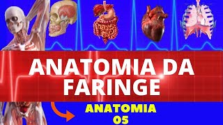 ANATOMIA DA FARINGE NASOFARINGE OROFARINGE E LARINGOFARINGE  SISTEMA DIGESTÓRIO [upl. by Aitram]