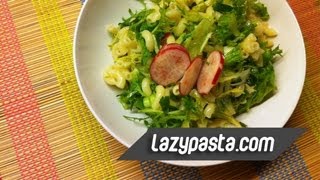 Elbow macaroni salad with escarole endive  easy pasta recipes by Lazy Pasta [upl. by Otti367]