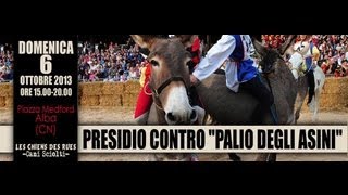 Presidio contro il quotPalio degli asiniquot Alba Cn [upl. by Obara]