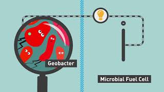 Microbial Desalination for Low Energy Drinking Water [upl. by Fawcett11]