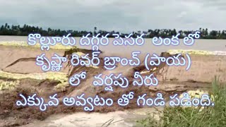 కరకట్ట తెగిన కృష్ణా రివర్ బ్రాంచ్ పాయ వర్షపు నీరు ఎక్కువ అవ్వటం తో గండి పడింది [upl. by Beutner835]